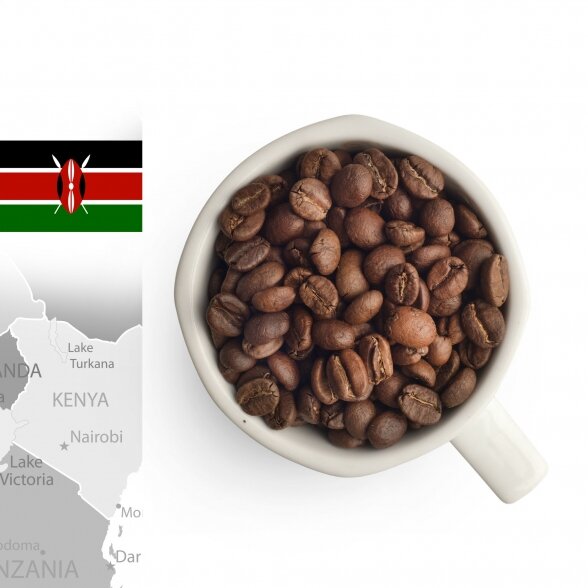GURMAN'S Kenya AA Top Superstar kavos pupelės