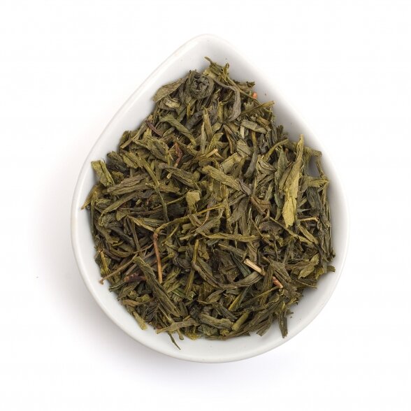 GURMAN'S SENCHA, green tea