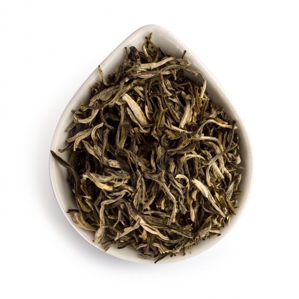 PRESTO MAO FENG, green tea