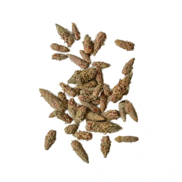 SCOTS PINE BUDS INFUSION, 50g 2