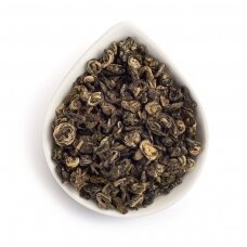 PRESTO GREEN SNAIL, green tea